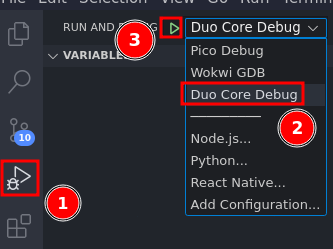 duo core debug pic