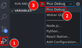 pico debug